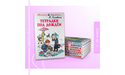 Смотреть Пример услуги Создать баннеры для рекламы, постеры на сайт, креативы в соцсеть. АльтерВЕБ